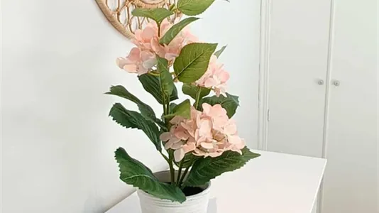 Apartments in Madrid Tetuán - photo 6