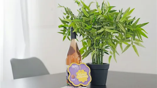 Apartments in Berlin Mitte - photo 9