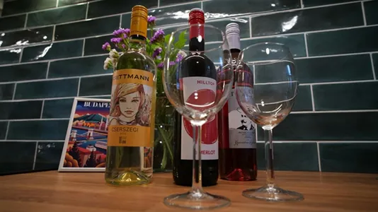 Apartments in Budapest Terézváros - photo 3