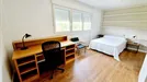 Room for rent, Húmera-Somosaguas-Prado del Rey, Comunidad de Madrid, &lt;span class=&quot;blurred street&quot; onclick=&quot;ProcessAdRequest(9550368)&quot;&gt;&lt;span class=&quot;hint&quot;&gt;See streetname&lt;/span&gt;[xxxxxxxxxxxxx]&lt;/span&gt;