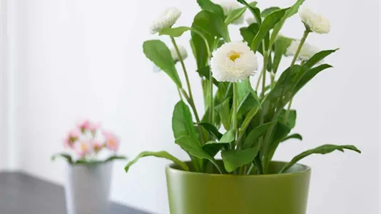 Rooms in Milano Zona 6 - Barona, Lorenteggio - photo 8