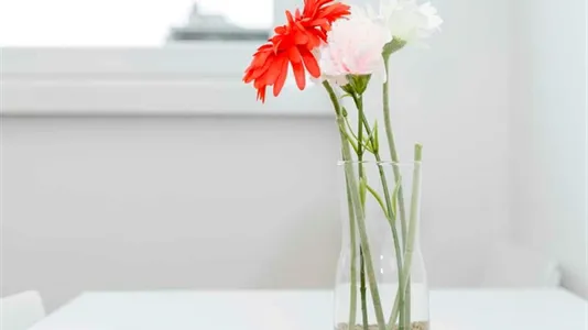 Rooms in Milano Zona 5 - Vigentino, Chiaravalle, Gratosoglio - photo 10