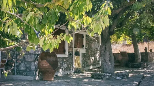 Houses in Oropedio Lasithiou - photo 7