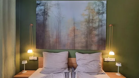 Apartments in Graz - photo 10