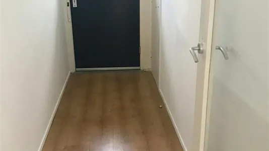 Rooms in Arnhem - photo 6
