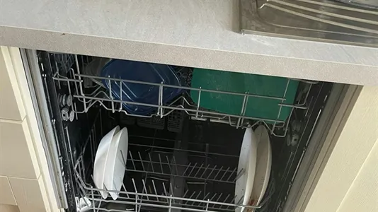 Rooms in Pisa - photo 6