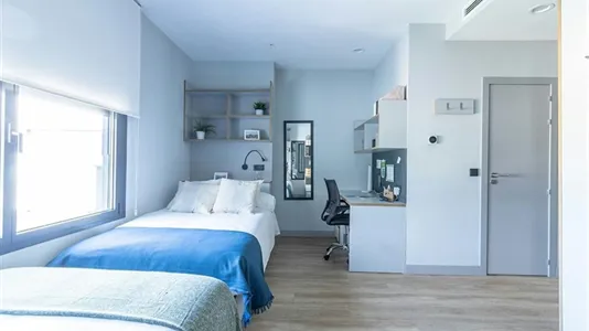 Rooms in Enramadilla - photo 3