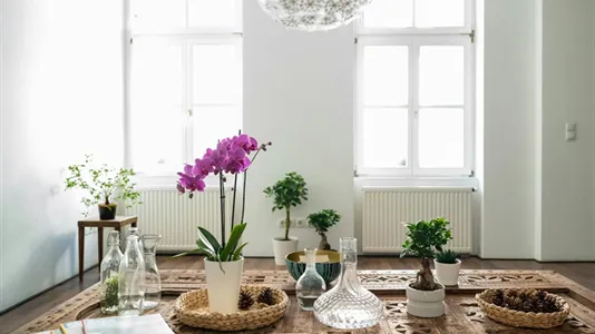 Apartments in Wien Wieden - photo 5