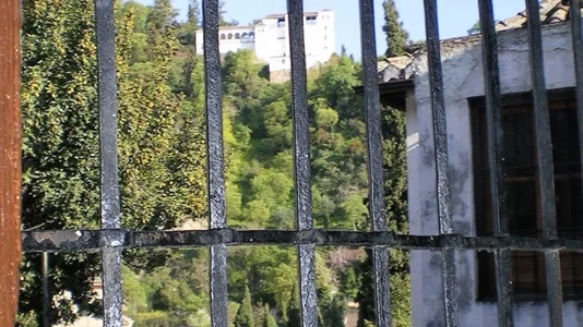 Apartments in Granada - photo 7