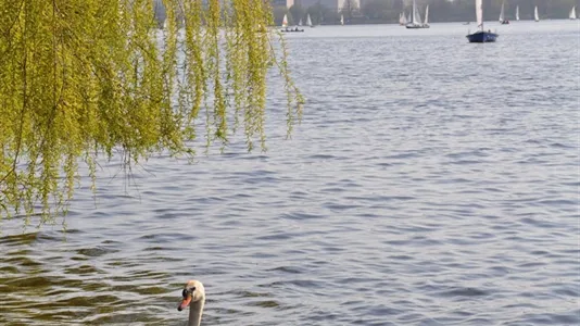 Apartments in Hamburg Nord - photo 8