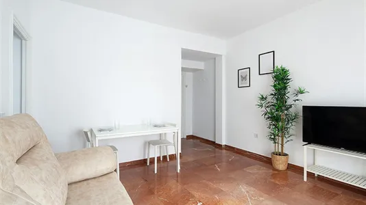 Apartments in Sevilla Casco Antiguo - photo 6