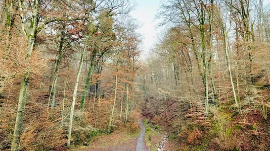 Apartments in Location is not specified - photo 10