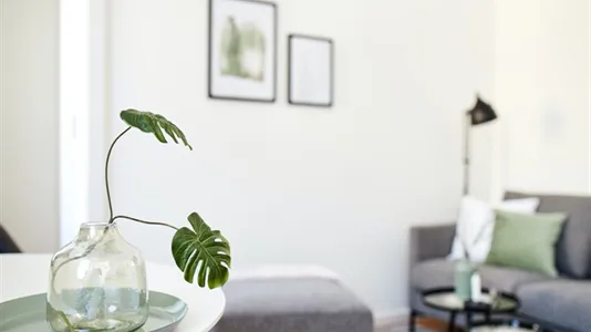 Apartments in Dusseldorf - photo 8