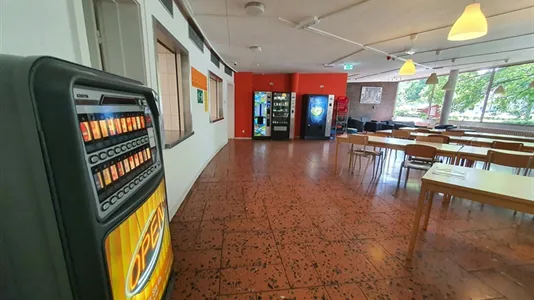 Rooms in Hamburg Mitte - photo 6