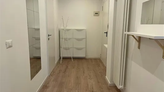 Rooms in Padua - photo 8