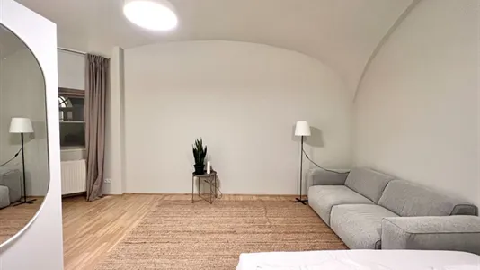 Apartments in Vienna Josefstadt - photo 5