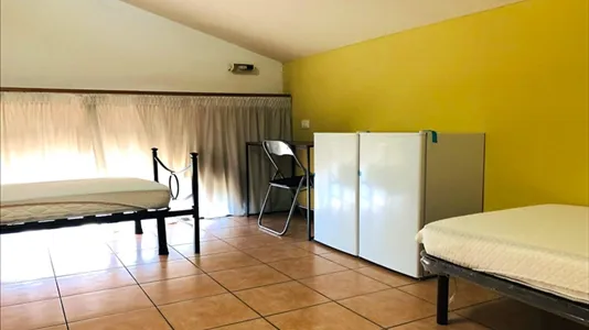 Rooms in Roma Municipio XI – Arvalia/Portuense - photo 3