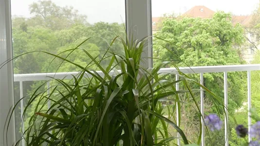 Rooms in Vienna Alsergrund - photo 6