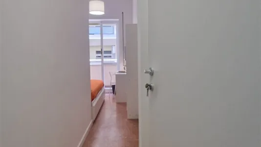 Rooms in Roma Municipio VIII – Appia Antica - photo 8