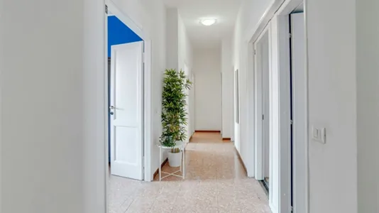 Rooms in Milano Zona 2 - Stazione Centrale, Gorla, Turro, Greco, Crescenzago - photo 5