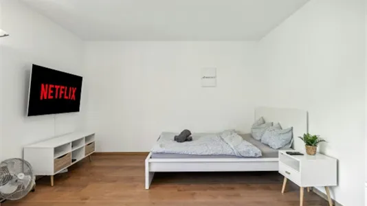 Apartments in Schaffhausen - photo 2