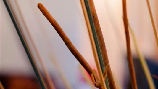 Apartments in Barcelona Ciutat Vella - photo 7