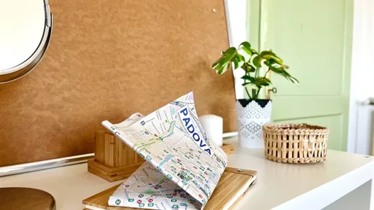 Rooms in Padua - photo 9