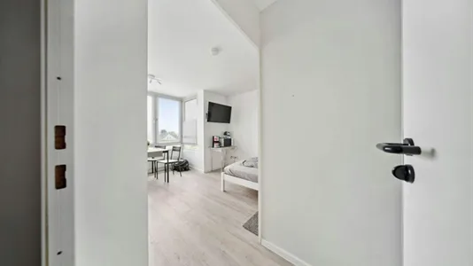 Apartments in Magdeburg - photo 8