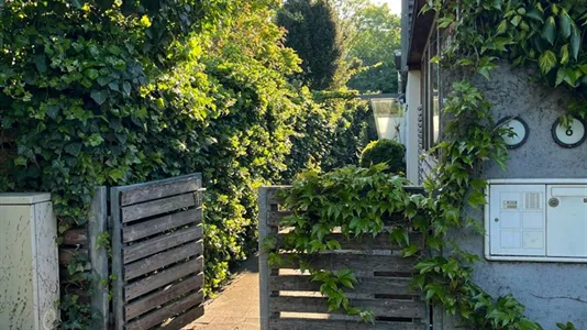 Rooms in Maria Enzersdorf - photo 4