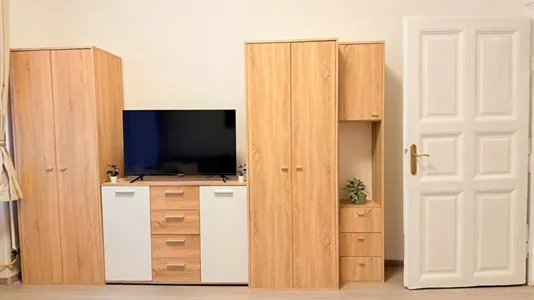 Apartments in Budapest Józsefváros - photo 6