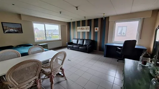 Houses in Hoogstraten - photo 2