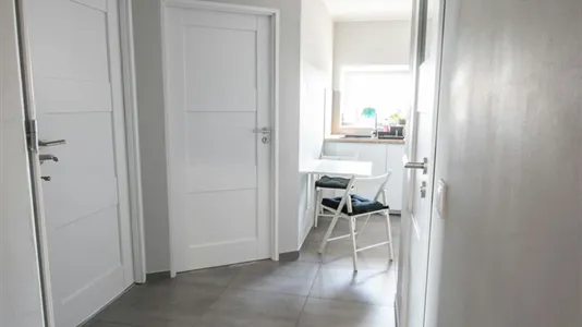 Apartments in Wrocław - photo 1