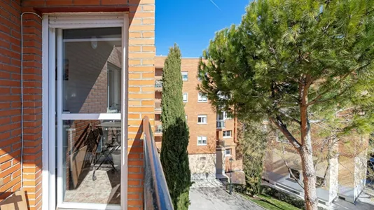 Rooms in Guadalajara - photo 5