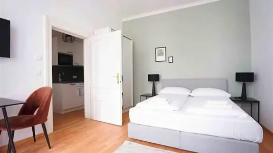 Apartments in Wien Neubau - photo 7