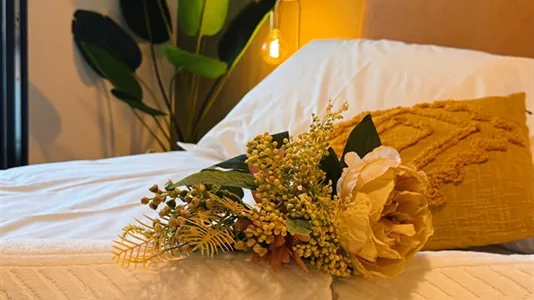 Rooms in Viana do Castelo - photo 5