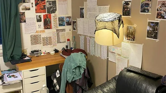Rooms in Lanaken - photo 2
