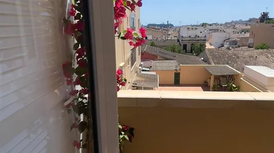 Apartments in Palma de Mallorca - photo 2