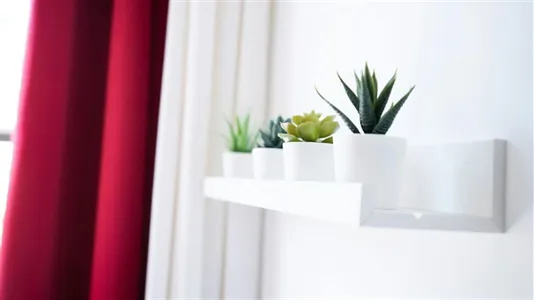 Rooms in Milano Zona 1 - Centro storico - photo 8