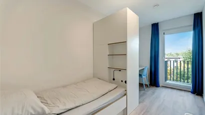 Room for rent in Berlin Treptow-Köpenick, Berlin