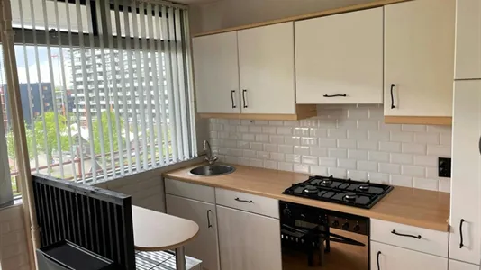 Apartments in Delft - photo 3