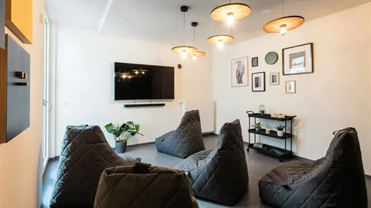 Apartments in Dresden - photo 7