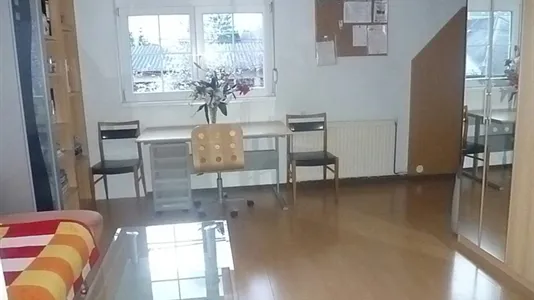 Rooms in Vienna Floridsdorf - photo 6