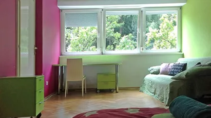 Apartment for rent in Besnica, Osrednjeslovenska