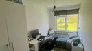Room for rent, Rotterdam, Ruigoord