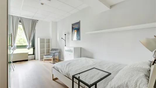 Rooms in Milano Zona 3 - Porta Venezia, Città Studi, Lambrate - photo 2