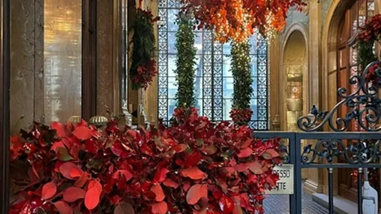 Rooms in Turin - photo 1