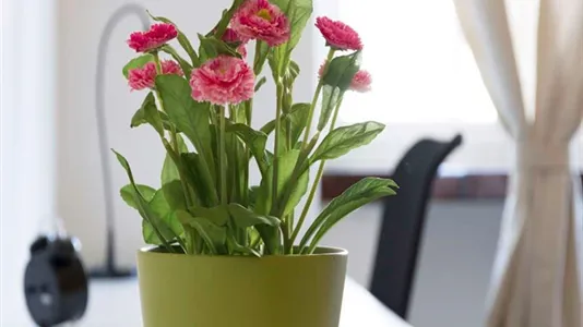 Rooms in Milano Zona 2 - Stazione Centrale, Gorla, Turro, Greco, Crescenzago - photo 6