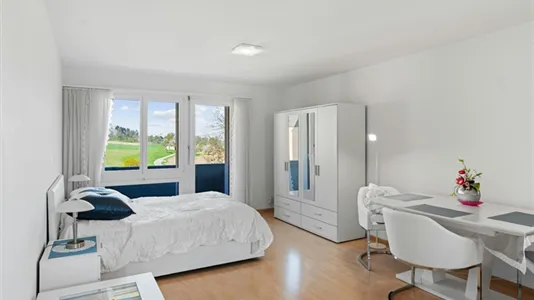 Apartments in Dielsdorf - photo 5