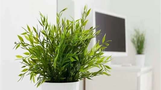 Rooms in Milano Zona 2 - Stazione Centrale, Gorla, Turro, Greco, Crescenzago - photo 10