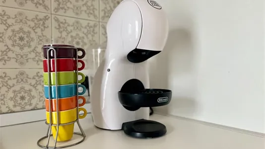 Rooms in Padua - photo 7